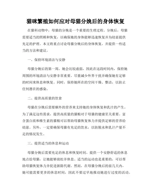 猫咪繁殖如何应对母猫分娩后的身体恢复