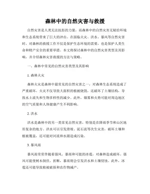 森林中的自然灾害与救援