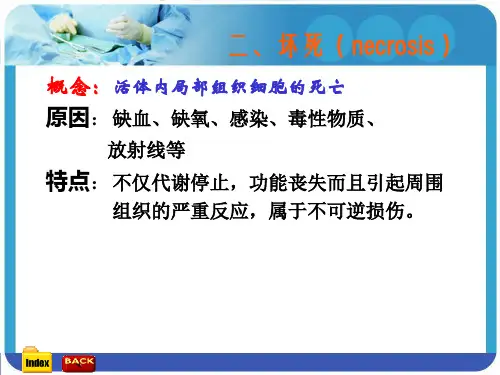 细胞和组织的损伤(坏死)ppt课件