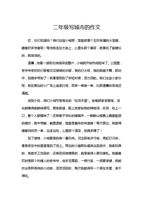 二年级写城市的作文