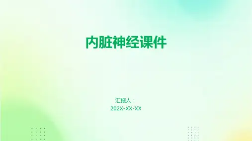 内脏神经 课件ppt