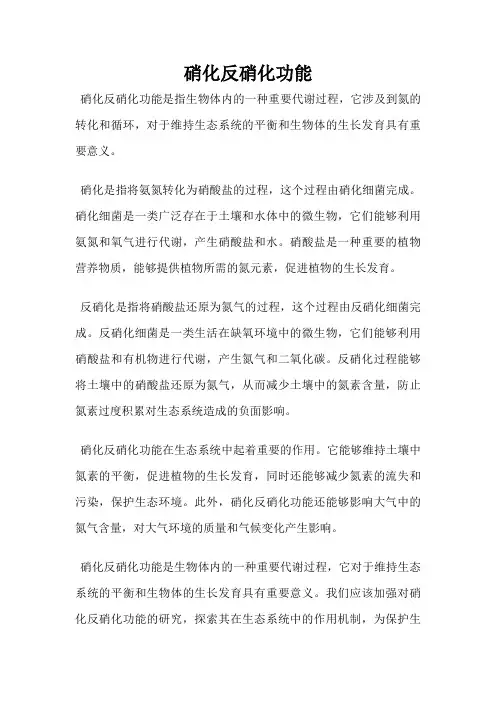 硝化反硝化功能