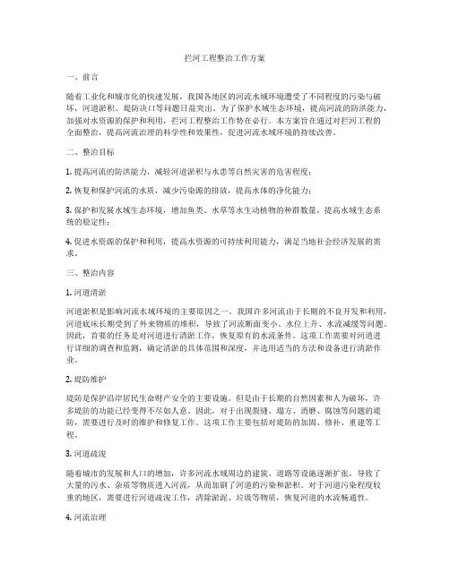 拦河工程整治工作方案