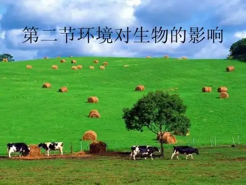 第二节环境对生物的影响