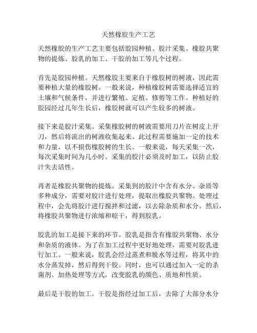 天然橡胶生产工艺