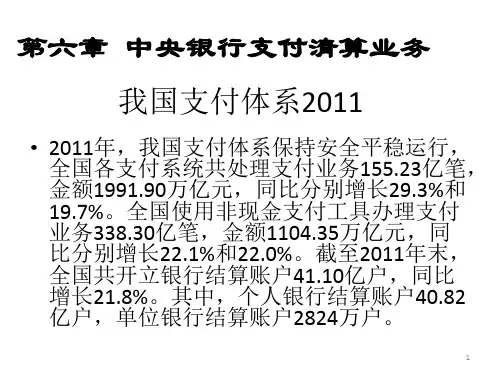 第6章中央银行支付清算服务