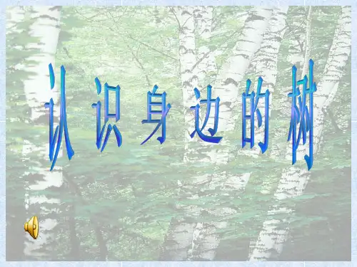 (完整版)认识身边的树ppt_小学人美版美术课件[1]