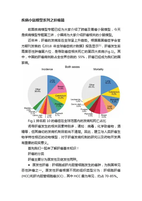 疾病小鼠模型系列之肝癌篇