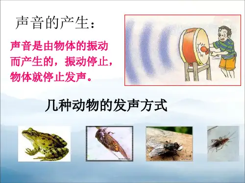 声音的传播各种各样的声音PPT课件-