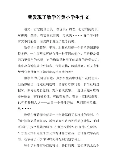 我发现了数学的美小学生作文