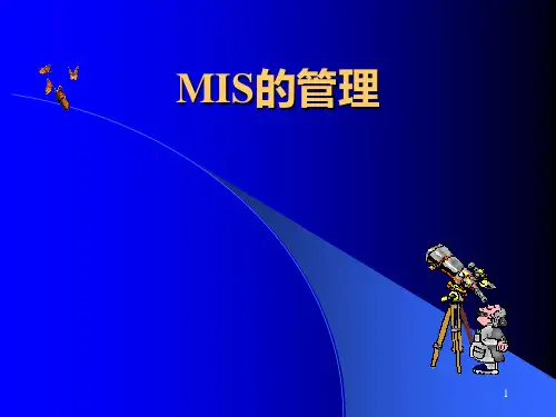 MIS―第8章管理信息系统的管理PPT课件