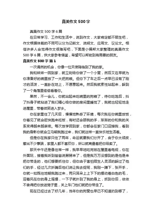真美作文500字6篇