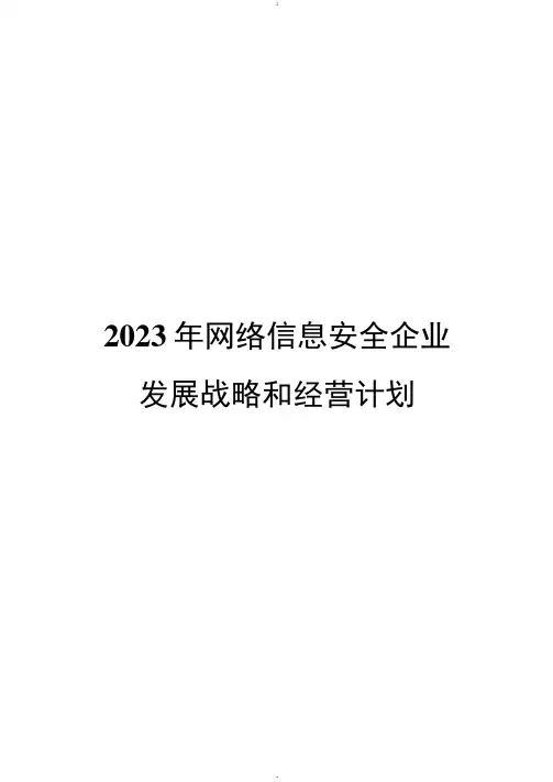 网络信息安全企业发展战略和经营计划