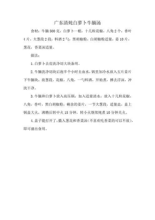 广东清炖白萝卜牛腩汤