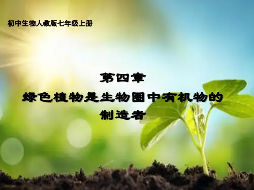 第三单元第四章绿色植物是生物圈中有机物的制造者课件