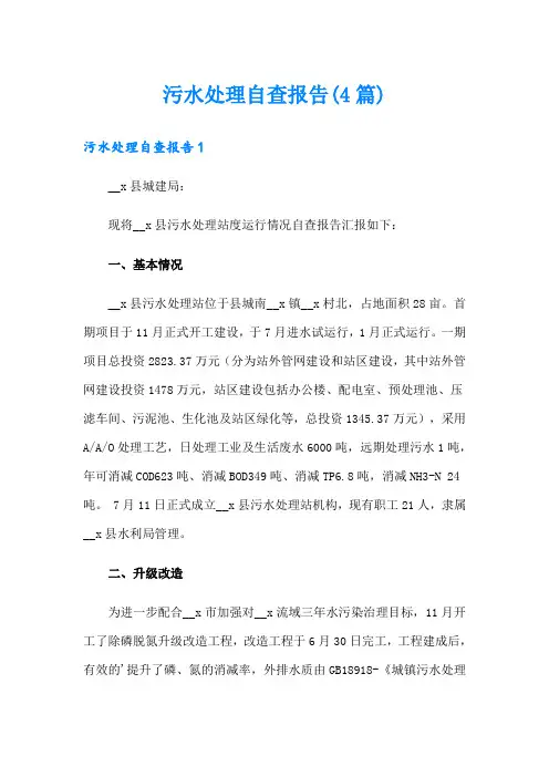 污水处理自查报告(4篇)