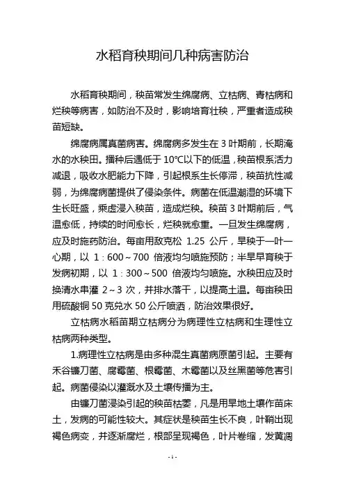 水稻育秧期间几种病害防治
