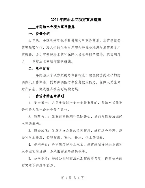 2024年防治水专项方案及措施