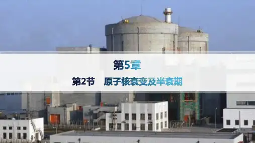 鲁科版高中物理选择性必修第三册精品课件 第5章 原子核与核能 第2节 原子核衰变及半衰期
