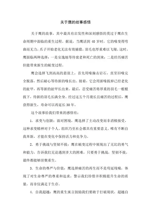关于鹰的故事感悟
