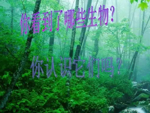 藻类、苔藓和蕨类植物