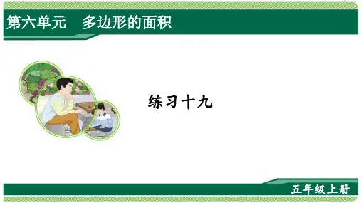 2022版人教版五年级数学上册练习十九详细答案课件