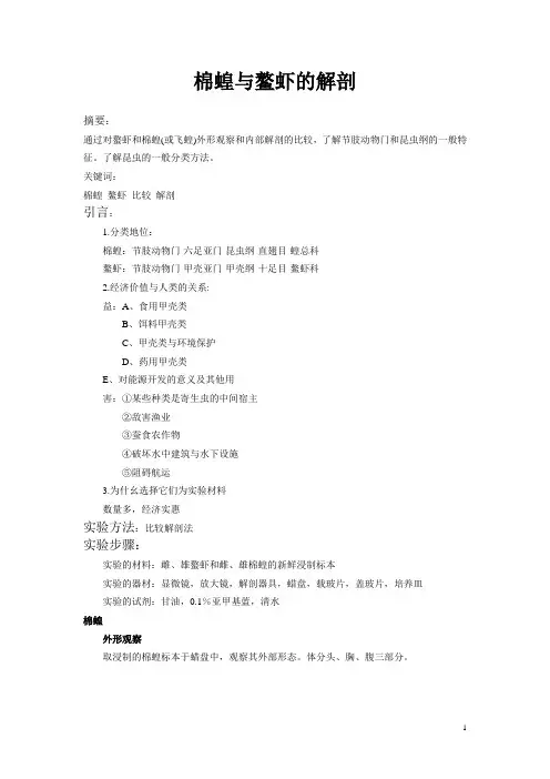 棉蝗与鳌虾