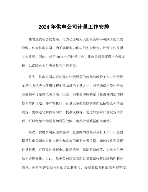 2024年供电公司计量工作安排