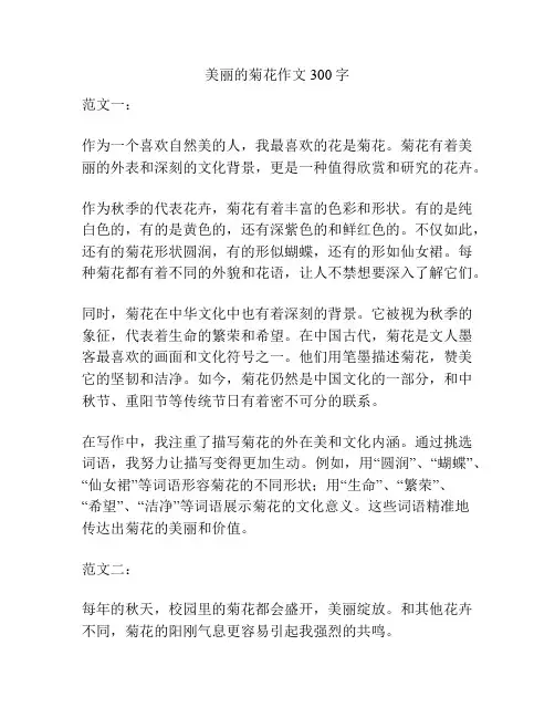 美丽的菊花作文300字