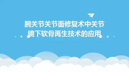 腕关节关节面修复术中关节镜下软骨再生技术的应用