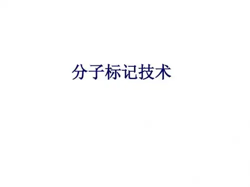 分子标记