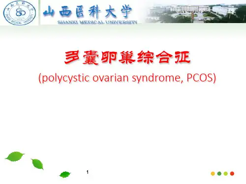 多囊卵巢综合征PPT