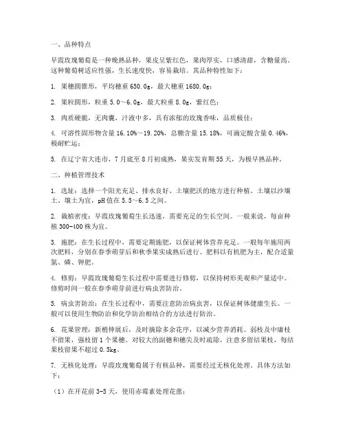 早霞玫瑰葡萄种植管理技术