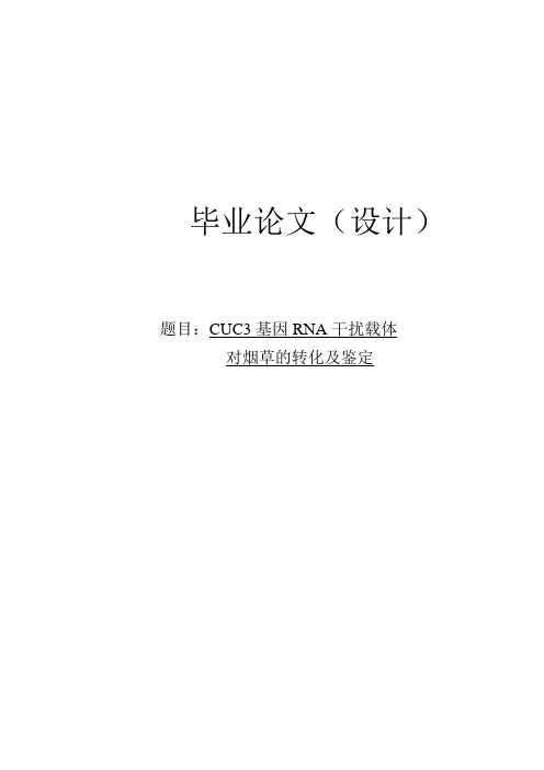 CUC3基因RNA干扰载体对烟草的转化及鉴定_本科毕业论文