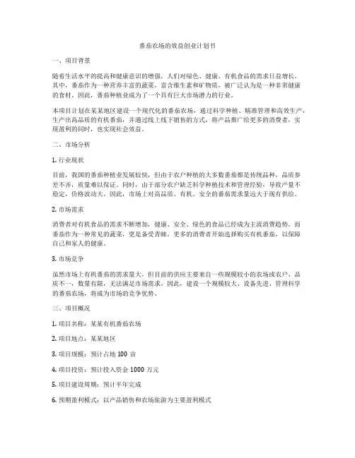 番茄农场的效益创业计划书