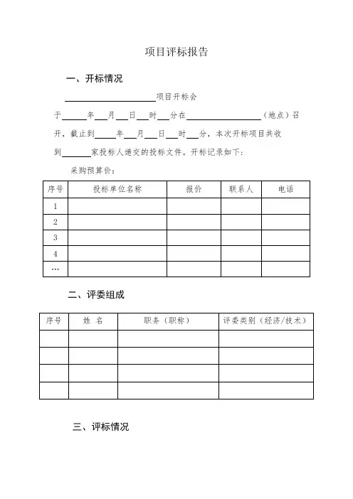 项目评标报告模板