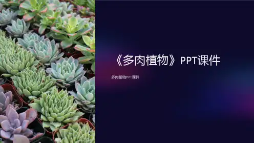 《多肉植物》课件