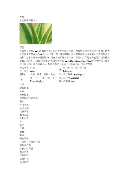 芦荟