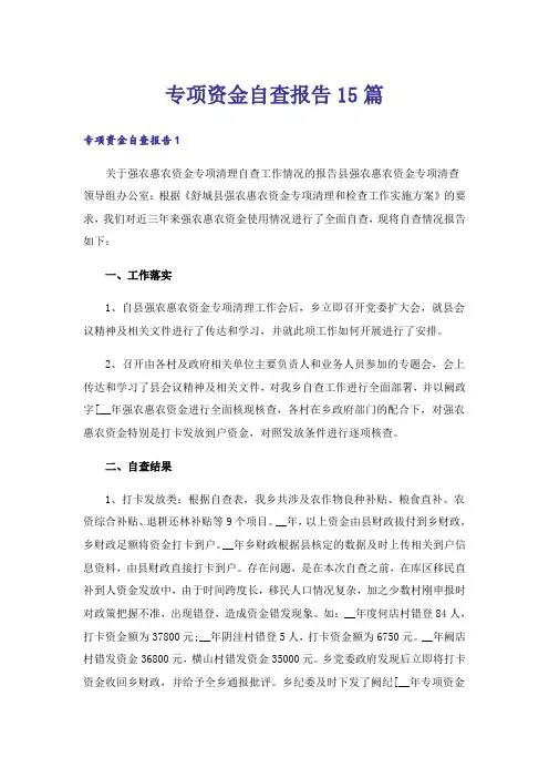 专项资金自查报告15篇