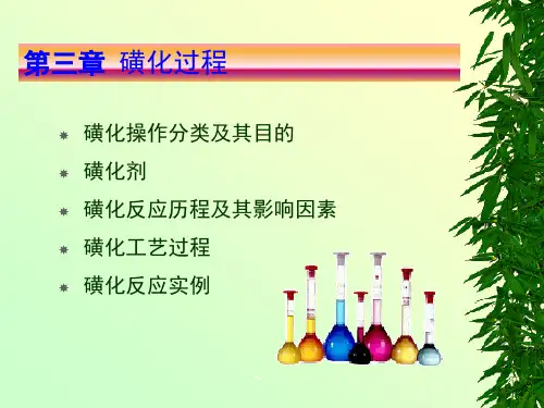 03磺化过程