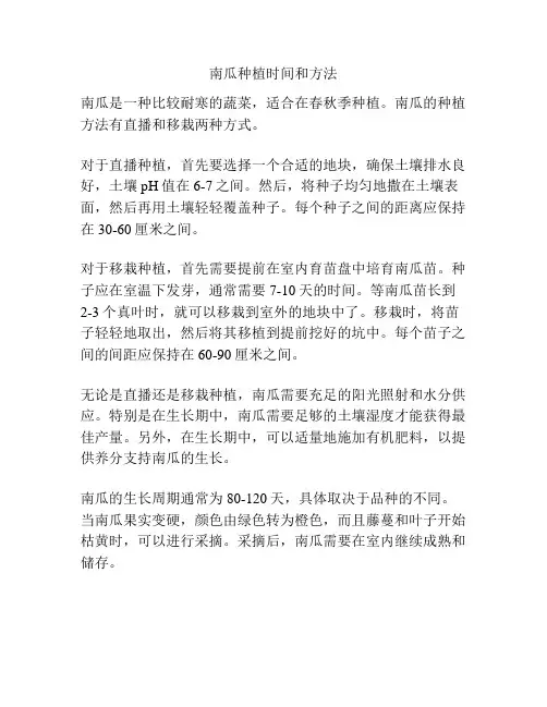 南瓜种植时间和方法