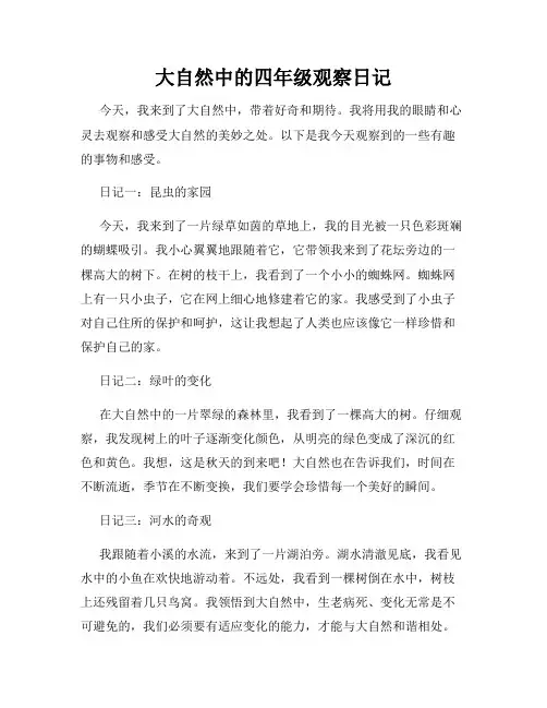 大自然中的四年级观察日记
