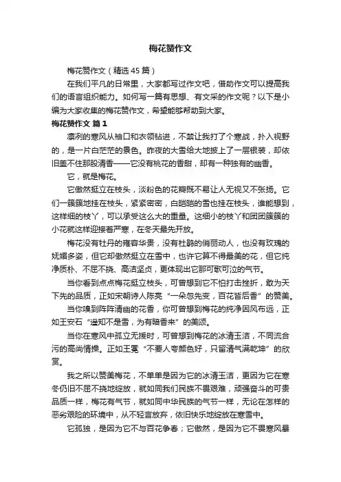 梅花赞作文（精选45篇）