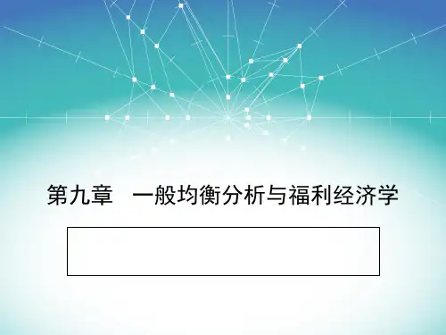 第九章一般均衡分析ppt课件