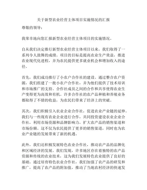 关于新型农业经营主体项目实施情况的汇报