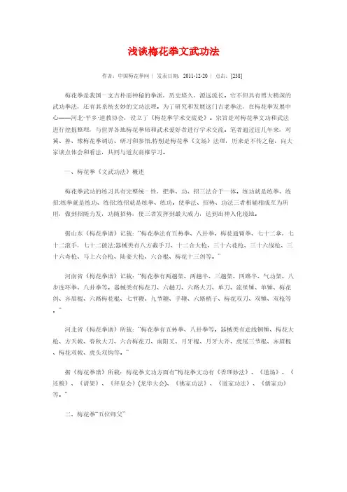 浅谈梅花拳文武功法