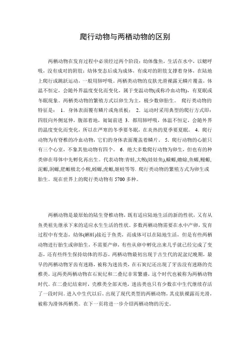 爬行动物与两栖动物的区别