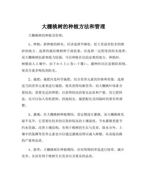 大棚桃树的种植方法和管理