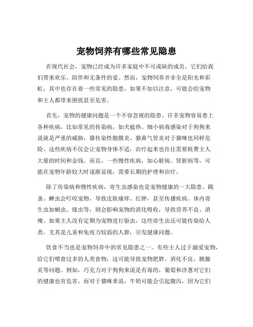 宠物饲养有哪些常见隐患