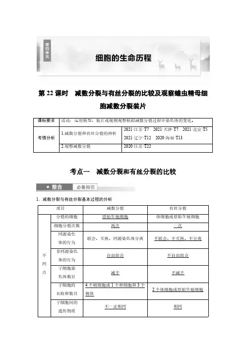 减数分裂与有丝分裂的比较及观察蝗虫精母细胞减数分裂装片-2025年高中生物大一轮复习讲义人教版